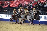 Quadrille - 00939